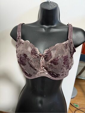 Embroidered Lace Underwire Bra in Mauve
